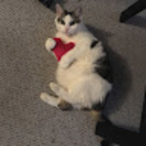 Meet your Posher, Rowan & tig tig